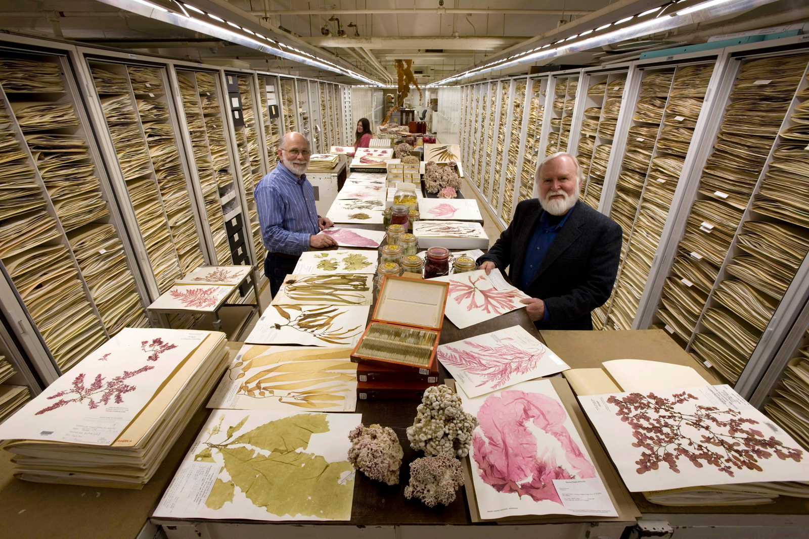 U.S. Herbarium